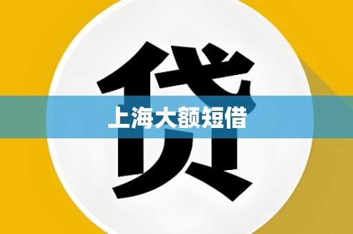 上海大额短借