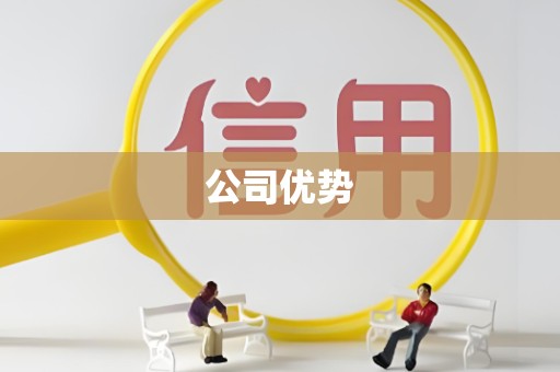 公司优势