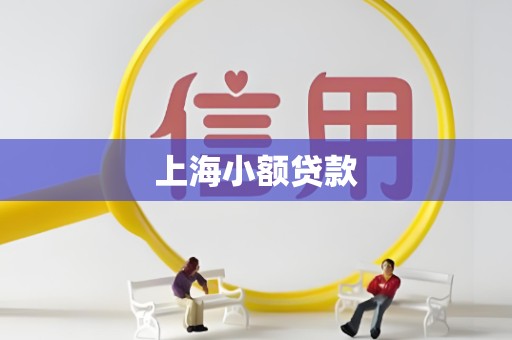 上海小额贷款